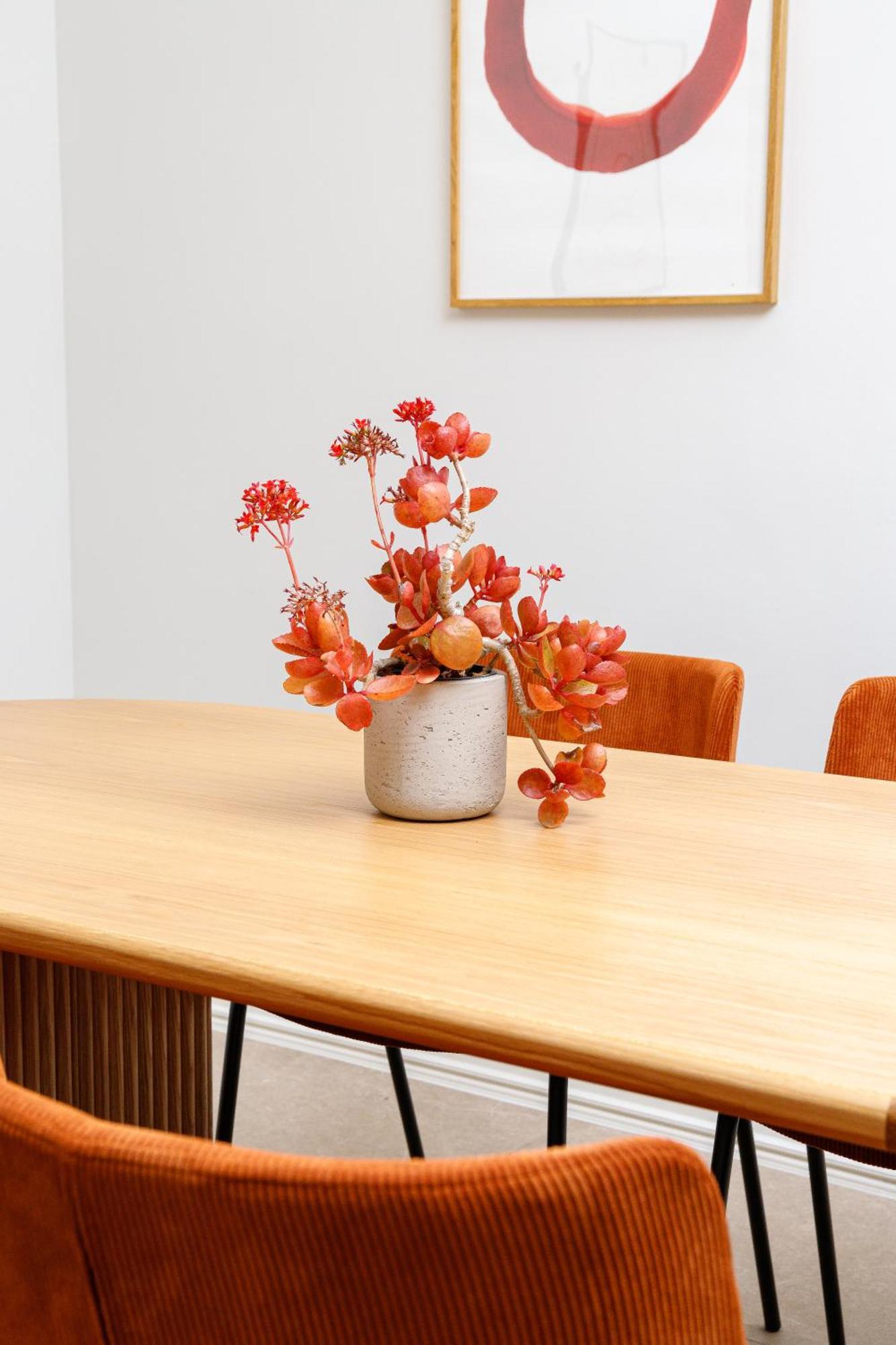 Creta Elena Suite Chania  Ngoại thất bức ảnh
